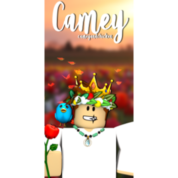Camey Shammy Meet-up random plot