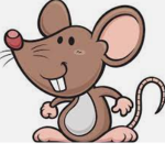The rat accounts