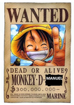Monkey D Manuel