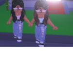 We are the roblox twins!!