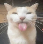 عرب اونلابن