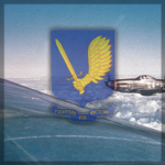 357th Fighter Grουp