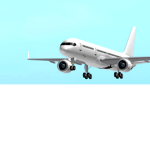 Roblox Aviation Administration (RAA)