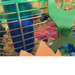 Ye Cay Cay Gang