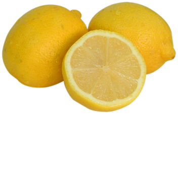 Lemon's Hangout