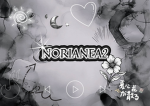 Norinea2