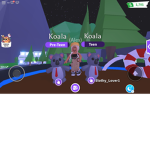 Koala_Army_