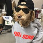 ill thrift