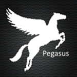 Pegasus Worldwide