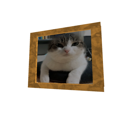 BEHOLD THE PICTURE OF WAWA CAT