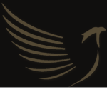 BCC| Bevotie Coorporation
