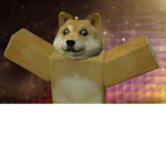 Drop Doge Fan Group