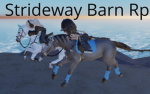 Horses.