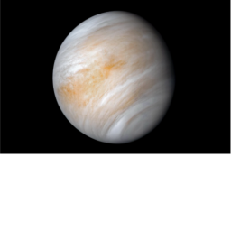 Venus