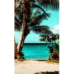 Tropical lifetime
