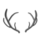 Silverthorn Antlers