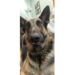 Happy Vibes From Addilynn
