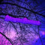 [SAG] Scripto Studios
