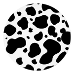 Cherry bottom clothing
