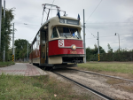 Brněnskej_šotous