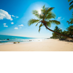 Beach Hang Out!