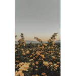GOOD~VIBES!~