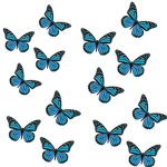 lil’ butterflies