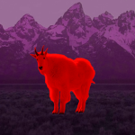 Red Mountain Goat Corporation