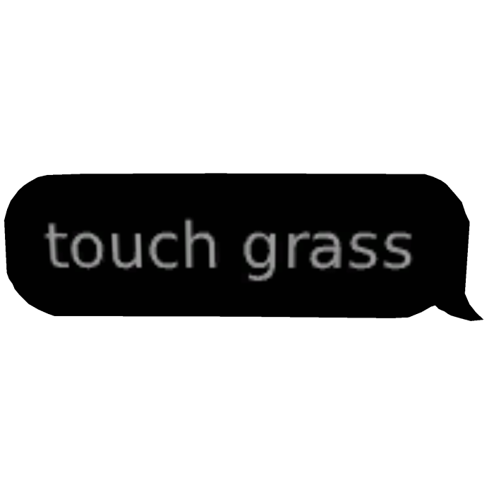 touch grass text