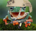 The Poison Frog Millitia