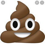 Jojo is the best! Poop