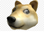 The Best Doge Player