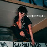 vzns