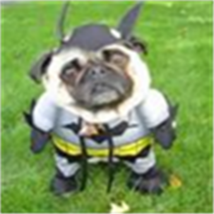 BatMan Dog Roblox decal