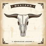 Western wear Vaquera