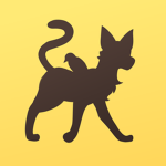Robin & Cat Studio