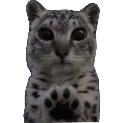 Mei Mei Snow Leopard Tole Cat Meme