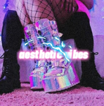 ~[Aesthetic Vibes]~