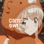 Camp Owl