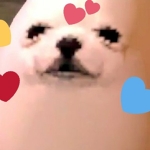 Eggdog Fan Association
