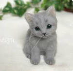 るっちゃんのロバ屋さん.ᐟ.ᐟ
