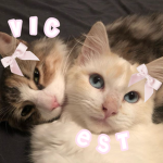 *.•vic and est•*+