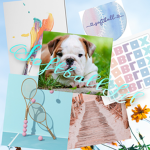 ~Lilly’s fan group~