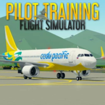 Pilot Traning Flight Simulator