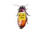 epic cockroach