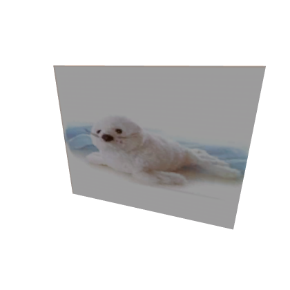 CUTEST SEAL PICTURE EVER!!!!!