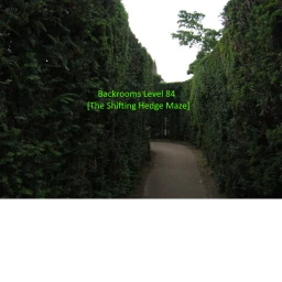 Backrooms Level 84 [The Shifting Hedge Maze] icon