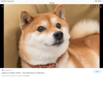 Global Doge Federation