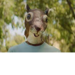 Insane squirrel cult