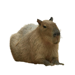 Spawn Pets Simulator